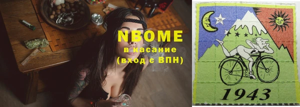 прущие грибы Заволжье