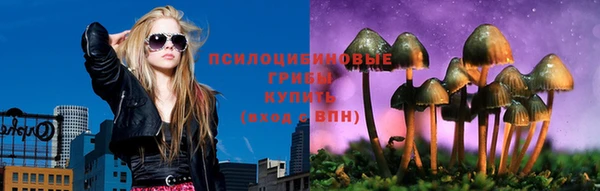 прущие грибы Заволжье