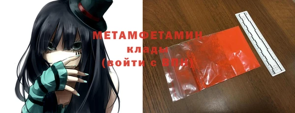 прущие грибы Заволжье