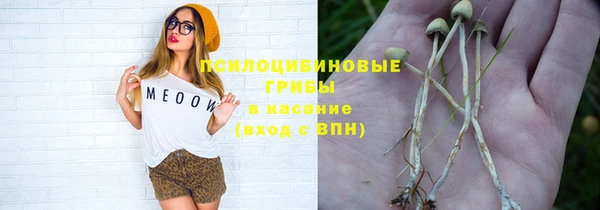 бошки Заволжск