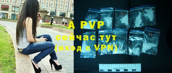 прущие грибы Заволжье