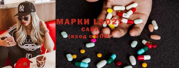 прущие грибы Заволжье