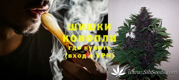 прущие грибы Заволжье