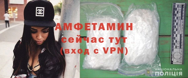 прущие грибы Заволжье